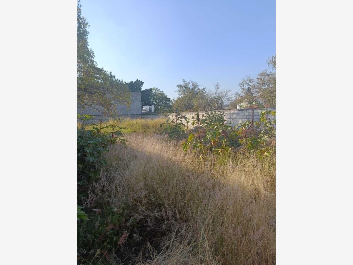 Terreno en venta en Las Fincas, Jiutepec — foto 1 de 3