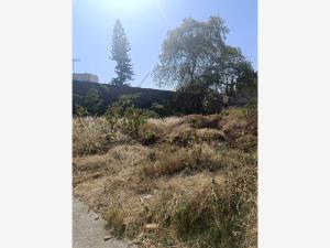 Terreno en venta en Las Fincas, Jiutepec — foto 2 de 3