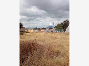 Terreno en venta en Benito Juarez, Actopan — foto 2 de 10