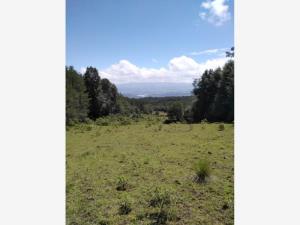 Terreno en venta en Velasco, Omitlán de Juárez — foto 3 de 9