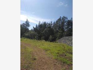 Terreno en venta en Llano Grande, Huasca de Ocampo — foto 2 de 4