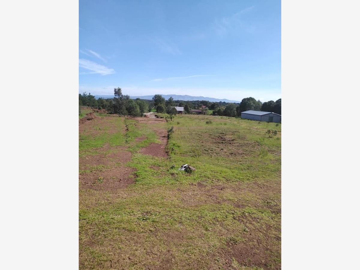 Terreno en venta en Llano Grande, Huasca de Ocampo — foto 1 de 4