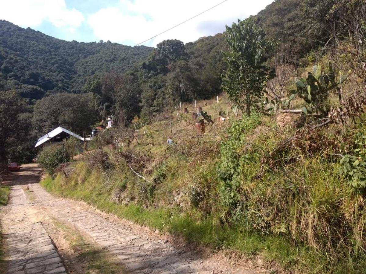 Terreno en venta en El Aviadero, Omitlán de Juárez — foto 1 de 11