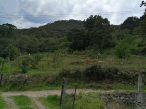 Terreno en venta en El Aviadero, Omitlán de Juárez — foto 2 de 11