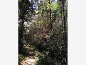 Terreno en venta en Cerro Gordo, Omitlán de Juárez — foto 3 de 6