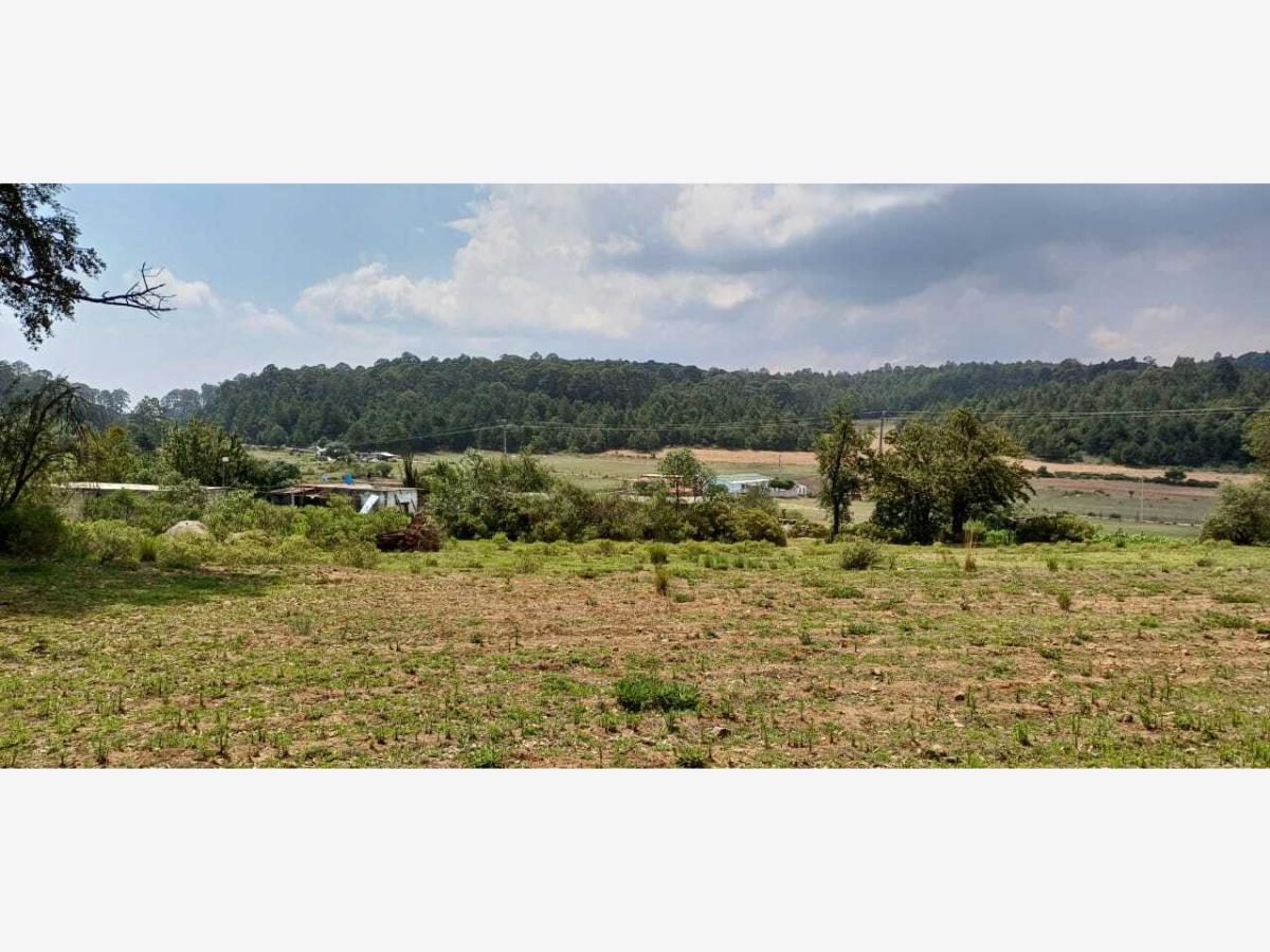 Terreno en venta en Cruz de Mujer, Omitlán de Juárez — foto 1 de 26