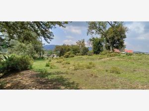 Terreno en venta en Cruz de Mujer, Omitlán de Juárez — foto 2 de 26