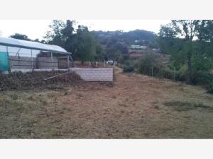 Terreno en venta en San Antonio el Paso, Omitlán de Juárez — foto 3 de 14