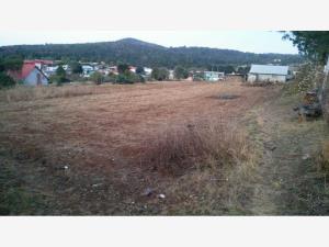 Terreno en venta en San Antonio el Paso, Omitlán de Juárez — foto 2 de 14