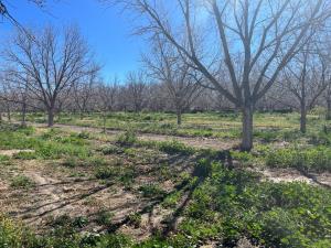 Terreno en venta en Rincon del Montero, Parras, Coahuila de Zaragoza