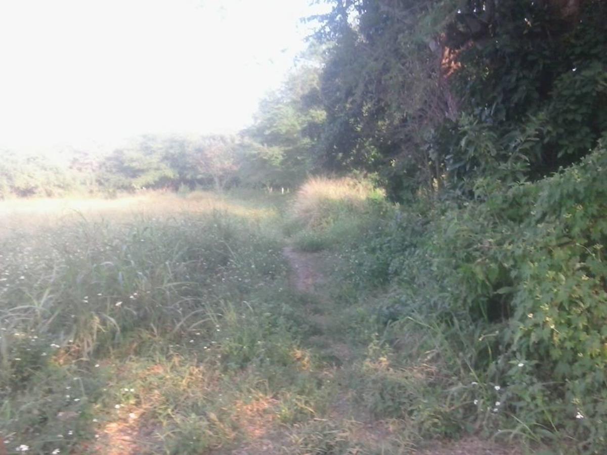 Terreno en venta en Puente de Ixtla Centro, Puente de Ixtla — foto 1 de 16
