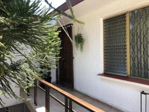 Casa en venta en Lomas de Atzingo, Cuernavaca — foto 2 de 33