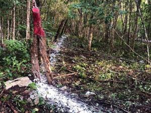 Terreno en venta en Macario Gómez, Tulum — foto 2 de 5