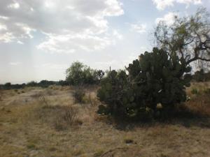 Terreno en venta en San Agustin Actipac, Teotihuacán — foto 2 de 4