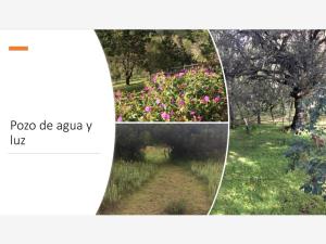 Terreno en venta en Puerto Carbonera, Arteaga — foto 2 de 4
