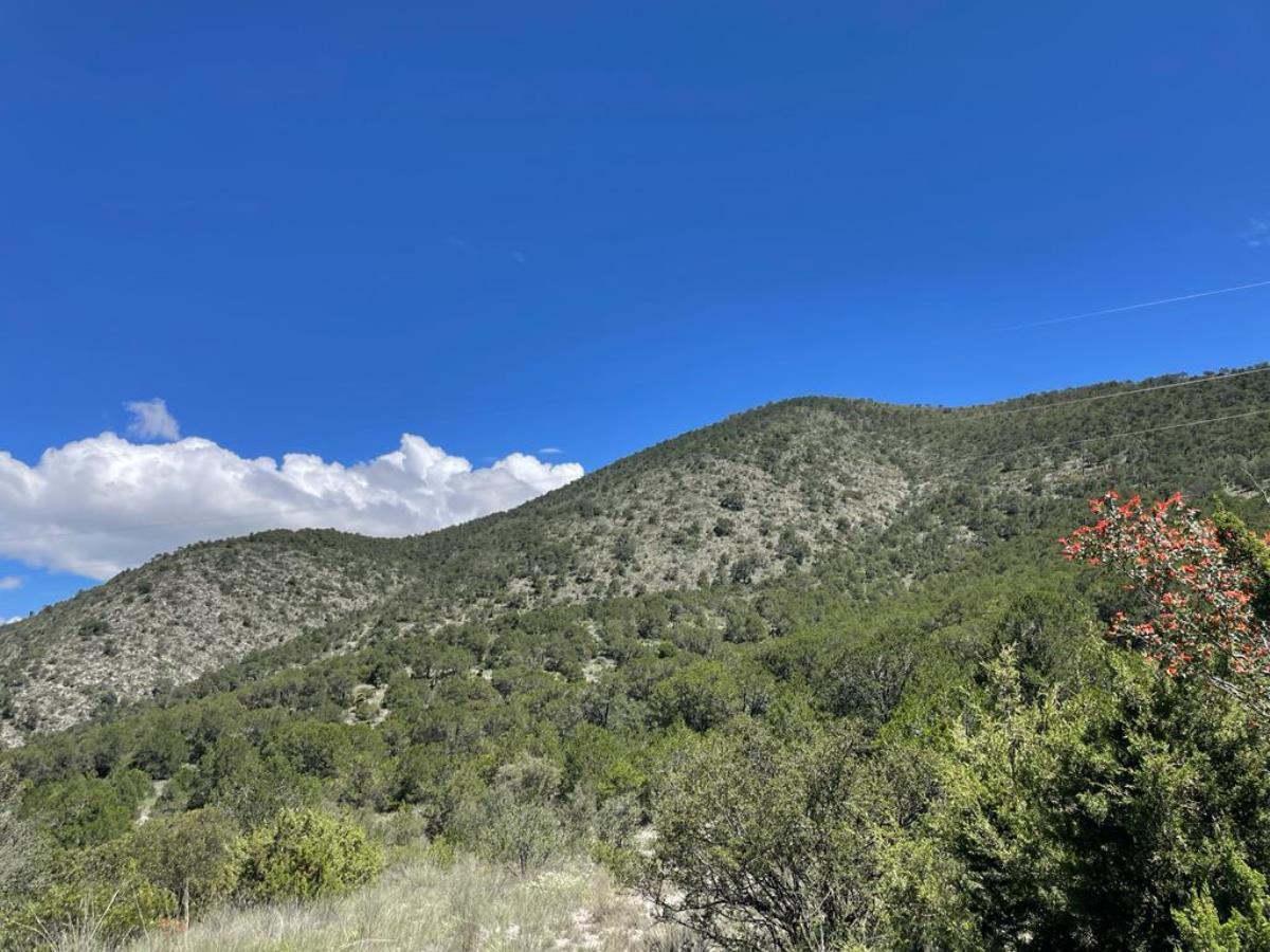 Terreno en venta en El Cedrito, Arteaga — foto 1 de 7