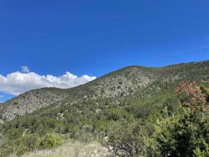 Terreno en venta en El Cedrito, Arteaga, Coahuila de Zaragoza Terreno en venta en El Cedrito, Arteaga, Coahuila de Zaragoza