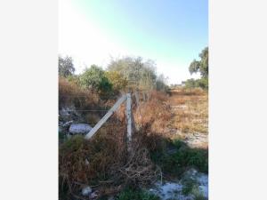 Terreno en venta en El Saucillo, Mineral de la Reforma — foto 2 de 10