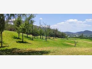 Terreno en venta en La Noria, Huimilpan — foto 2 de 7