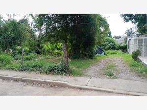 Terreno en venta en Totolapa, Tihuatlán — foto 2 de 2