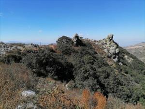 Terreno en venta en Benito Juárez, Mineral del Chico — foto 2 de 18