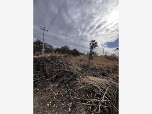 Terreno en venta en Lomas de Cocoyoc, Atlatlahucan — foto 2 de 17