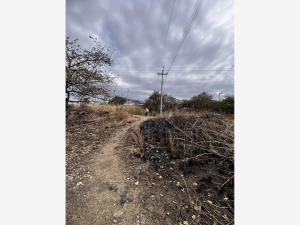 Terreno en venta en Lomas de Cocoyoc, Atlatlahucan — foto 3 de 17