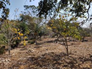 Terreno en venta en San Miguel, Berriozábal — foto 2 de 9
