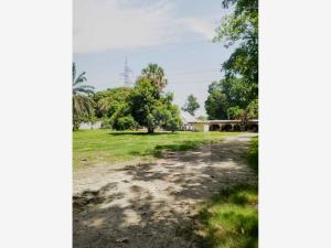 Terreno en venta en Ixtacomitán 1ra. Sección, Centro — foto 3 de 7