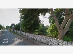 Terreno en venta en Centro Pomuch, Hecelchakán — foto 3 de 8