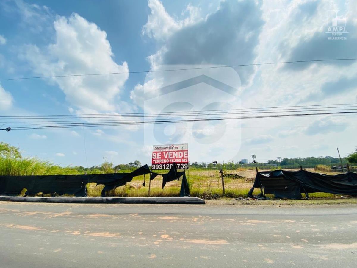 Terreno en venta en Jose Maria Pino Suarez, Centro — foto 1 de 9