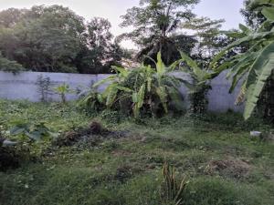 Terreno en venta en Samarkanda, Nacajuca — foto 2 de 4