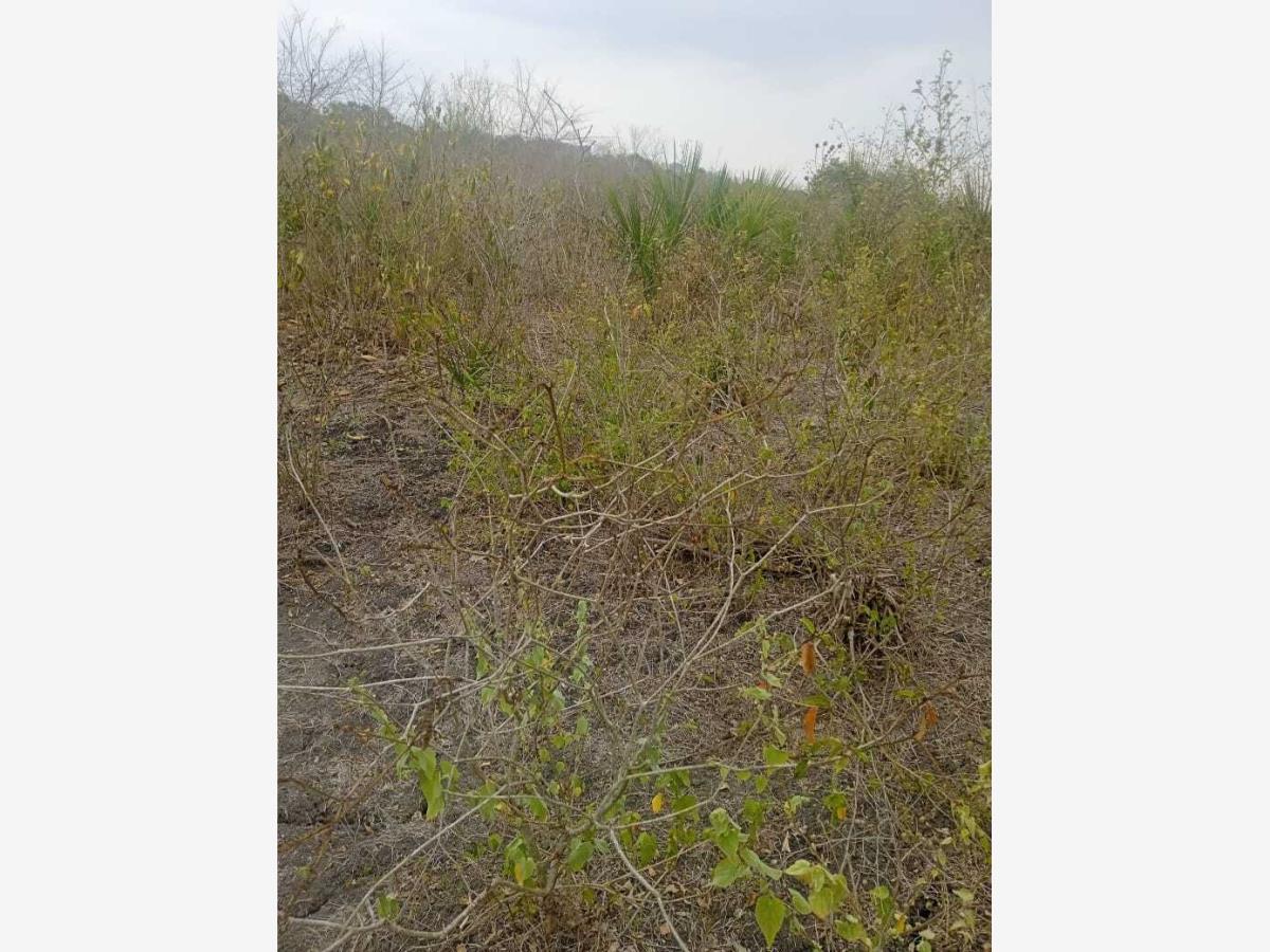 Terreno en venta en Panuco Centro, Pánuco — foto 1 de 7
