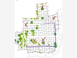 Terreno en venta en Tetecala, Tetecala — foto 2 de 31