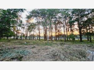 Terreno en venta en Nuevo, Ocozocoautla de Espinosa — foto 3 de 10