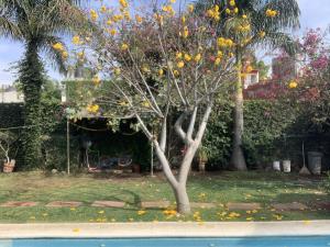 Casa en venta en Atlacomulco, Jiutepec — foto 2 de 38