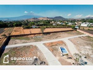 Terreno en venta en San Juan Tejaluca, Atlixco — foto 2 de 16