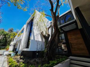 Casa en venta en Rancho Cortes, Cuernavaca — foto 2 de 19