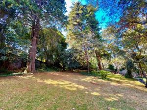 Casa en venta en San Mateo Tlaltenango, Cuajimalpa de Morelos — foto 3 de 37