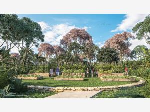 Terreno en venta en Centro Hunucmá, Hunucmá — foto 3 de 23