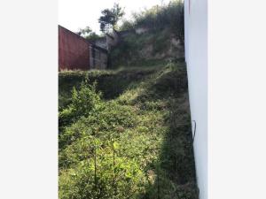 Terreno en venta en Zona Dorada, Coatepec — foto 3 de 9