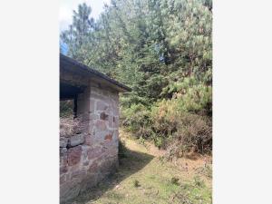 Terreno en venta en Pueblo Nuevo, Mineral del Monte — foto 2 de 10