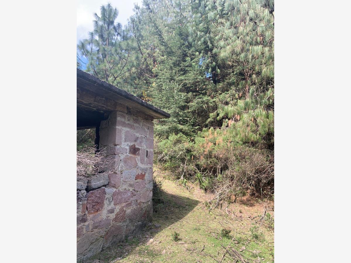 Terreno en venta en Pueblo Nuevo, Mineral del Monte — foto 1 de 11