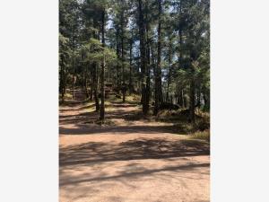 Terreno en venta en Pueblo Nuevo, Mineral del Monte — foto 2 de 11