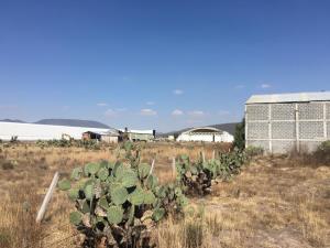 Terreno en renta en Vicente Guerrero (san Javier), Tolcayuca — foto 3 de 16