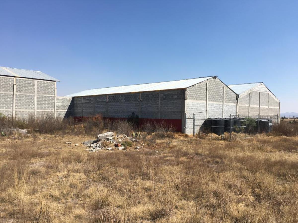 Terreno en renta en Vicente Guerrero (san Javier), Tolcayuca — foto 1 de 16