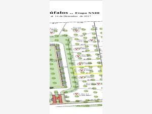 Terreno en venta en Las Villas, Torreón — foto 3 de 3