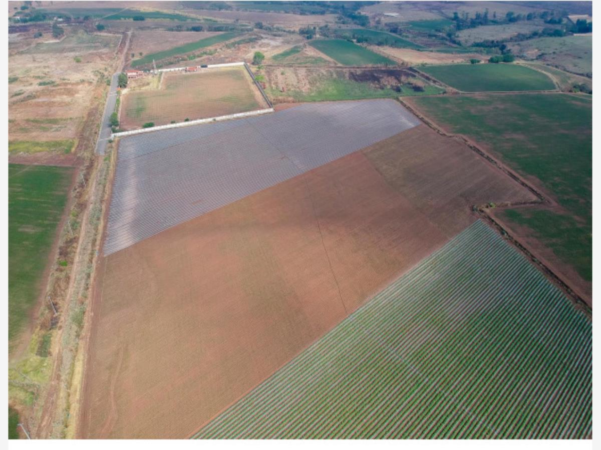 Terreno en venta en Nextipac, Zapopan — foto 1 de 11