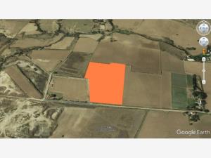 Terreno en venta en Nextipac, Zapopan — foto 3 de 11