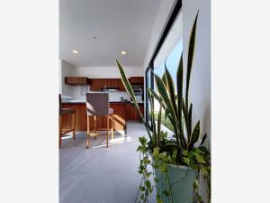 Casa en venta en Lomas de la Rioja, Alvarado — foto 2 de 11